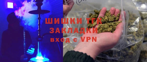 тгк Инсар