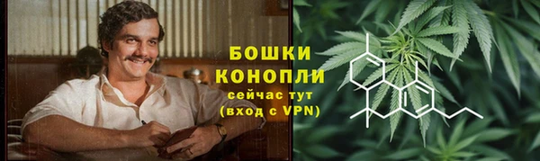 2c-b Инта