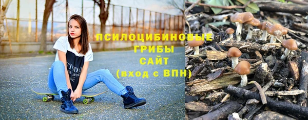 а пвп мука Иннополис