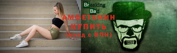 тгк Инсар