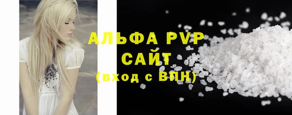 тгк Инсар