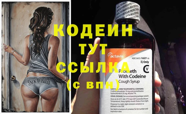 тгк Инсар