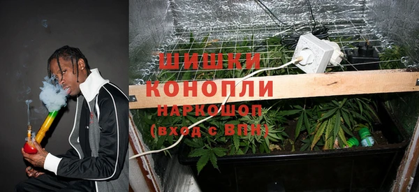 2c-b Инта